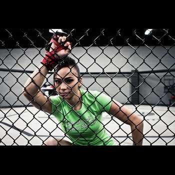 The MMA Report Michelle Waterson TUF 20 Fighters