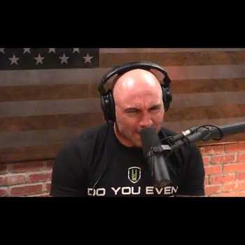 Joe Rogan Brendan Schaub Discuss 900k Hit Put on Conor McGregor by the Irish Mob