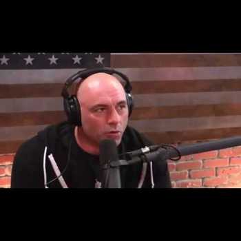 Joe Rogan Eddie Bravo Discuss UFC 219 Cyborg v Holm