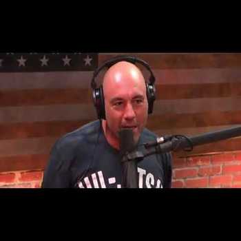 Joe Rogan Stipe Miocic Discuss Cupping Therapy
