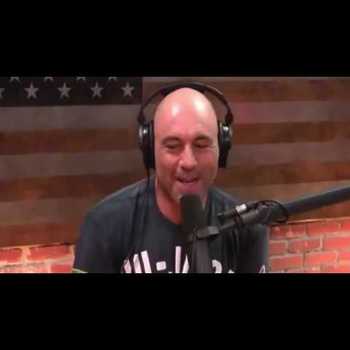 Joe Rogan Stipe Miocic Discuss Trash Talking CovingtonWerdum Drama MMAs Comment Section
