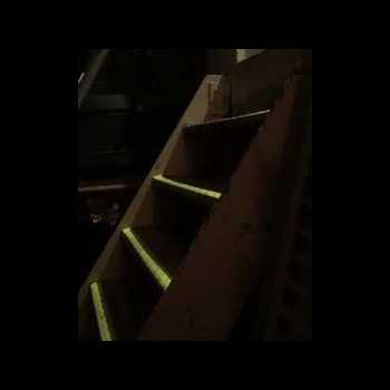 Joe Rogan and these Stairs