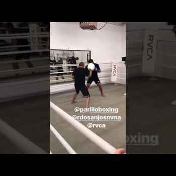 RDA Hitting Mitts