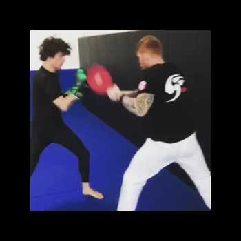 Sugar Sean OMalley Hitting Mitts