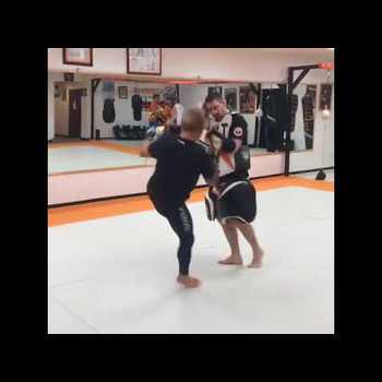 TJ Dillashaw Hitting Mitts