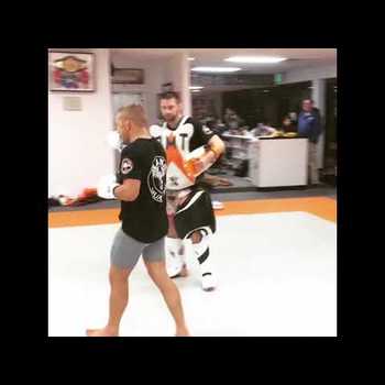 TJ Dillashaw Hitting Mitts New