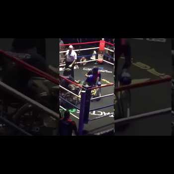 Wheelchair Boxing