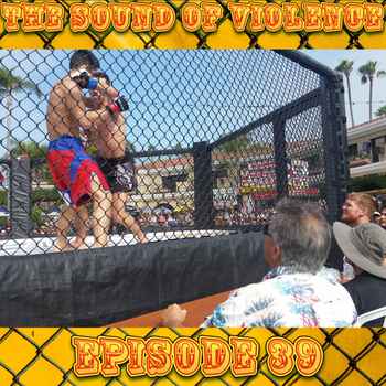 Ep 39 Recap of Bellator 180 UFC Fight Ni